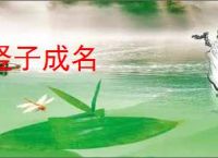 竖子成名