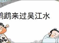 鹦鹉来过吴江水
