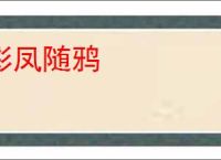 彩凤随鸦
