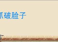 抓破脸子
