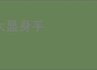 大显身手
