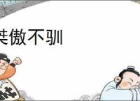 桀傲不驯