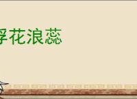 浮花浪蕊