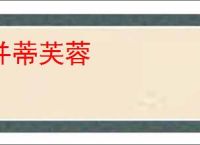 并蒂芙蓉