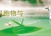 民胞物与