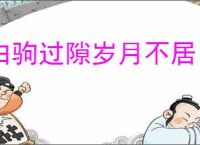 白驹过隙岁月不居