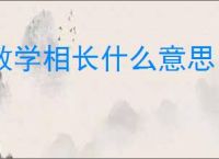 教学相长什么意思