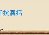 衽抭囊括