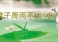 君子周而不比 小人比而不周