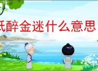 纸醉金迷什么意思