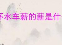杯水车薪的薪是什么意思