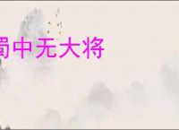 蜀中无大将