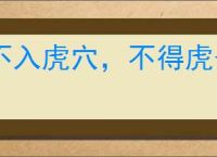 不入虎穴，不得虎子