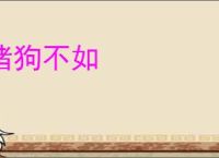 猪狗不如