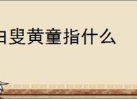 白叟黄童指什么