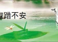 踧踖不安