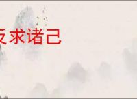 反求诸己