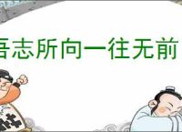 吾志所向一往无前