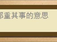 郑重其事的意思