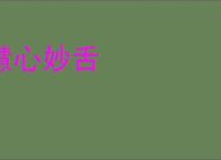 慧心妙舌