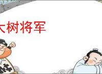 大树将军