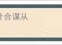 计合谋从