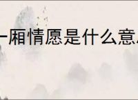 一厢情愿是什么意思