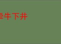 牵牛下井