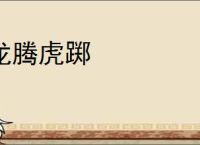 龙腾虎踯