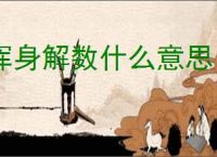 浑身解数什么意思