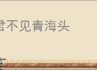 君不见青海头