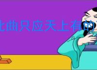 此曲只应天上有的下一句