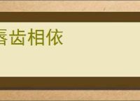 唇齿相依