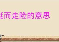 铤而走险的意思