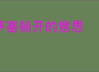 茅塞顿开的意思