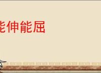 能伸能屈