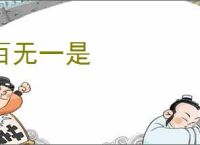 百无一是