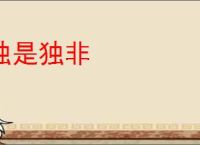独是独非