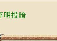 弃明投暗