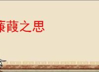 蒹葭之思