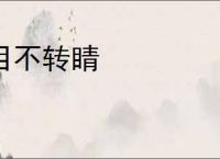 目不转睛