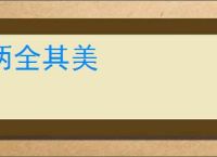 两全其美