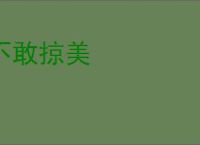 不敢掠美