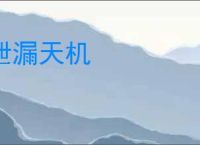 泄漏天机
