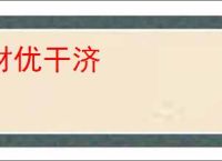 材优干济