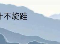 计不旋跬