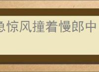 急惊风撞着慢郎中
