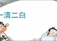 一清二白