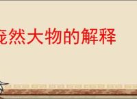 庞然大物的解释
