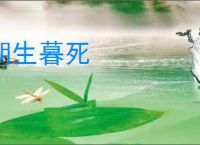 朝生暮死